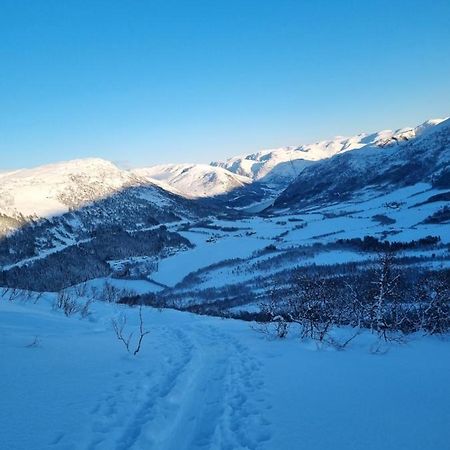 Stor Leilighet Med 4 Senger Sentralt I Forde Buitenkant foto